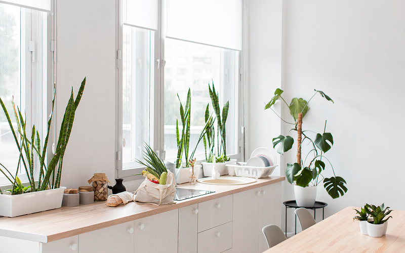 Minimalist open shelf with plants