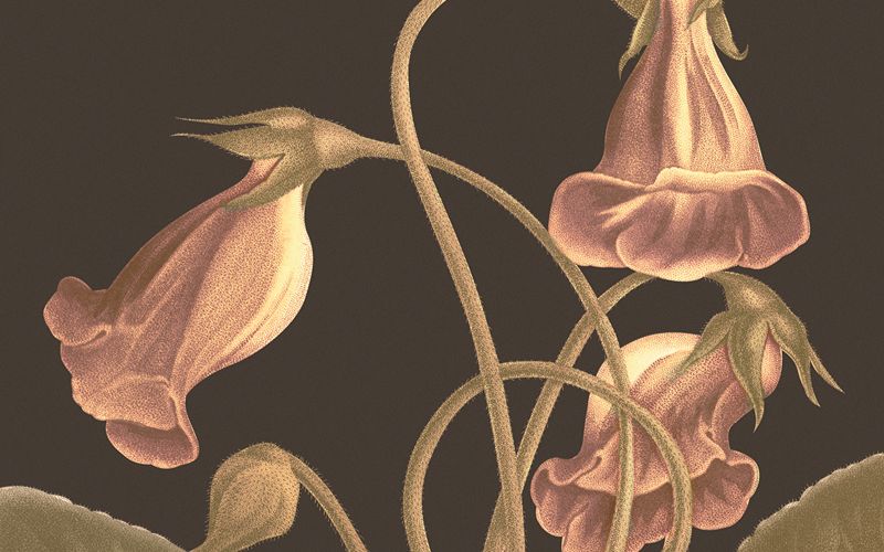 An Art Nouveau painting